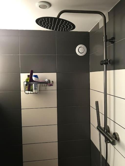 Studio 1 A 4 Pers, Proche Strasbourg, Europa-Park, Colmar Erstein Ngoại thất bức ảnh